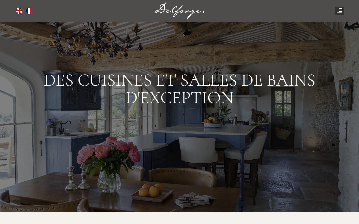 Page d'accueil de delforge-france.com sur ordinateur